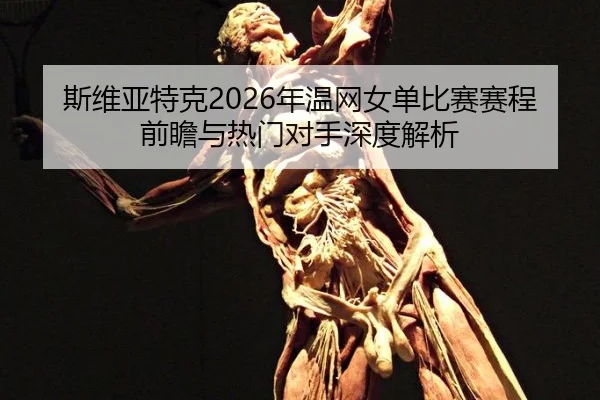 斯维亚特克2026年温网女单比赛赛程前瞻与热门对手深度解析